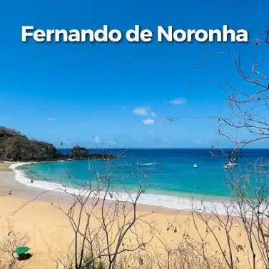 Fernando de noronha 2026 (1)